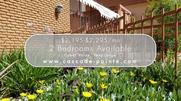 $2195.00 / 2br - 1010ft2 - Large 2-Bedroom - Great Value - Gorgeous, with Balcony - In an Up-and-Coming Area