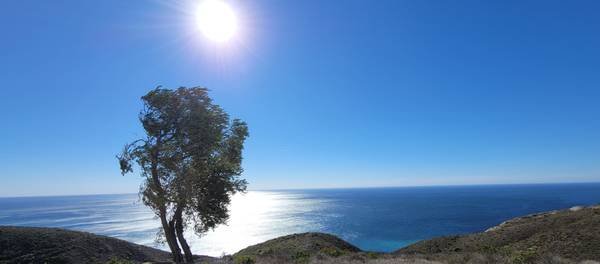 $877 / 870400ft2 - Malibu Way Out (Malibu West)