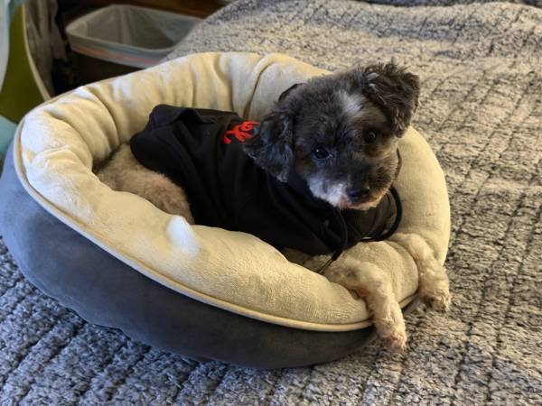 Downtown Office Space for Rent at $2,500/month, 800 sqft, Flexible Lease Terms