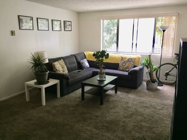 $1,100 BEDROOM in a Beautiful Condo, Walking Distance to the Beach (Long Beach)