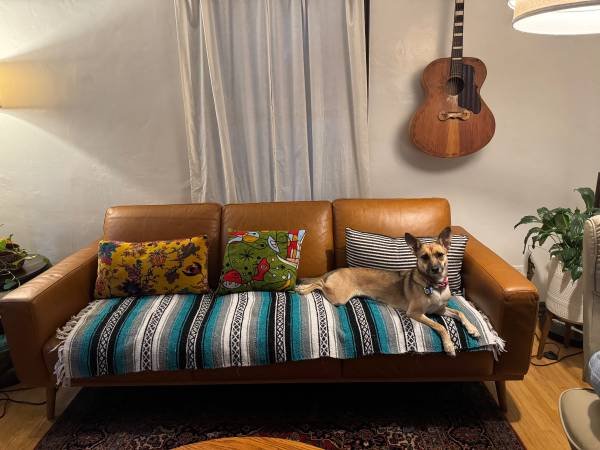 $1,700 / 2br - 169ft2 - FEMALE ONLY Roommate Wanted: (TOLUCA LAKE)