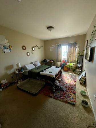 $1,300 / 3br - Room for rent with private bathroom (Palms)