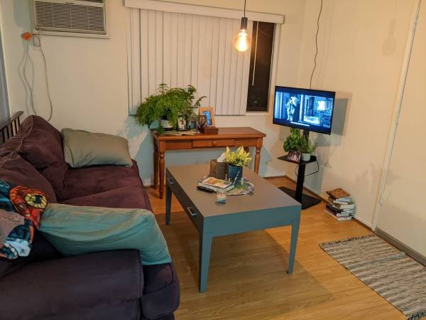 $1,680 for 500 sq ft - AVAILABLE - North Hollywood Junior Studio Sublet January 1st - July 31st (North Hollywood)