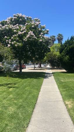 $2,000 / 1br - 780ft2 - One Bedroom - Close to the Beach !! Next Month Nov 2025 Westside (Mar Vista)