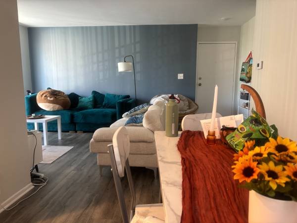 $1,250 / 2br - Master Bedroom - 4 Month Sublet Available in Los Angeles! (Koreatown)