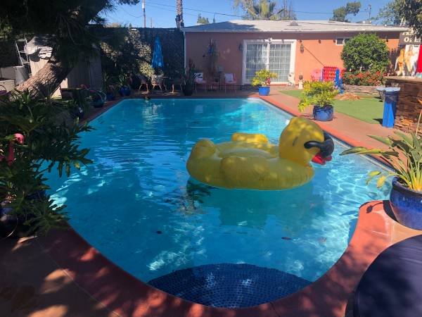 $199 / 1br - 650ft2 - Guest Cottage with Pool (North Hollywood or Burbank)