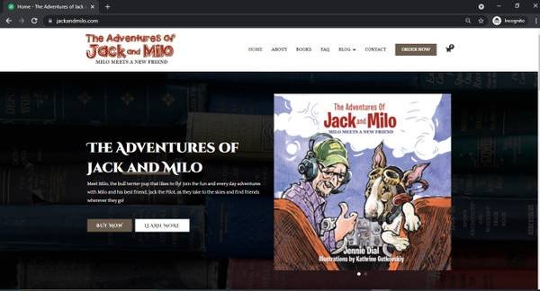 Professional WordPress Web Developer, Web3, PHP with SEO Keywords from $100