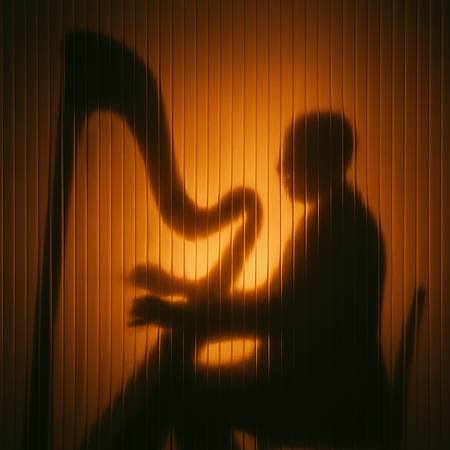 Live Harpist for Your Wedding, Party, or Private Event