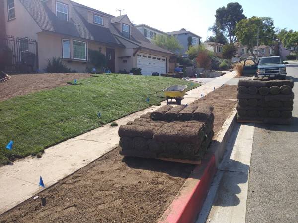 Professional Farm & Garden Services in New York City, Licensed and Insured