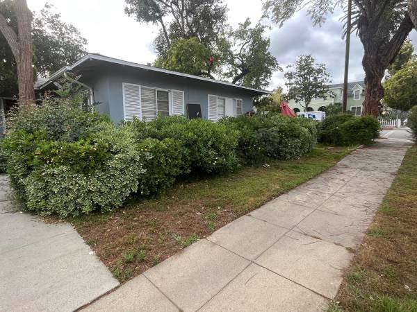 Gardener Tree Trimming/Cleanup/ Gardener/Junk Removal (Burbank Glendale Pasadena (SGV) Temple City Monterey Park)