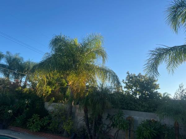 Los Angeles Professional Farm & Garden Services with Certified Experts