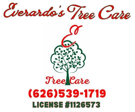 Certified Arborist Tree Services in San Diego
