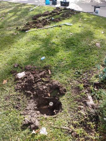 London-Based Farm & Garden Services with RHS Qualified Experts