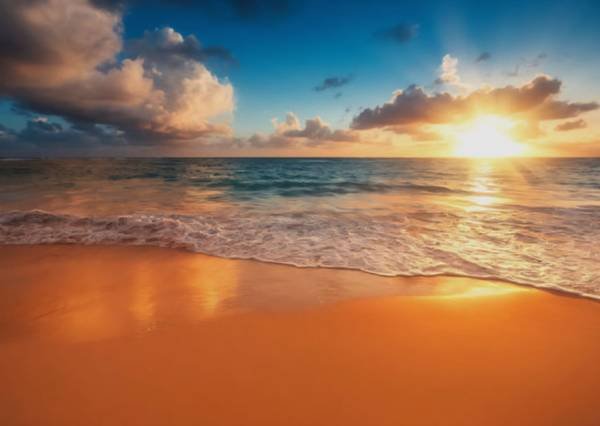 Professional Massage (Sherman Oaks)