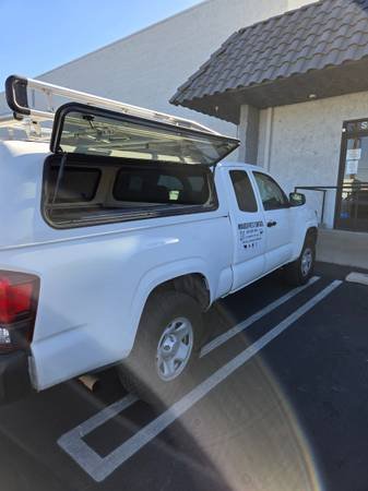 Termite and Rodent Control (Los Angeles and SGV)