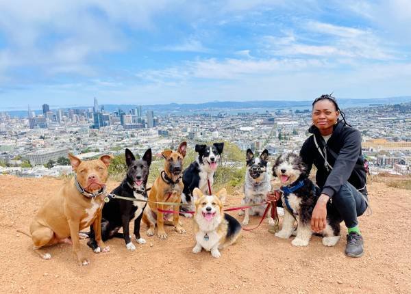 Experienced Pet Sitter/Dog Handler (East Hollywood)
