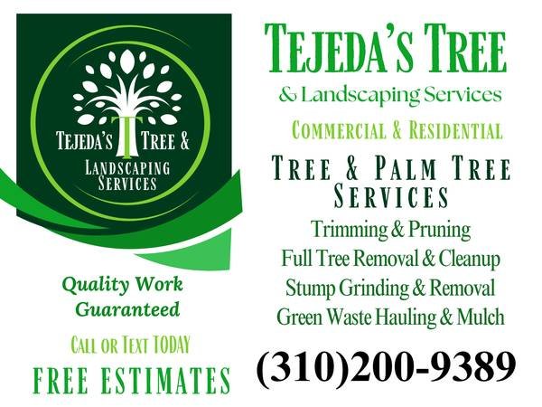 Mid City Tree and Palm Service - Trimming, Removal, Stump, Hauling (Mid City, Carthay, Arlington Heights, Jefferson Park, West A)